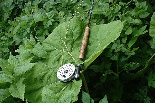 Fly-fishing-line