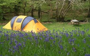 Tent-Guy-Lines