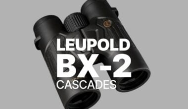 leupold-bx-2-cascades-10x42-binocular-review