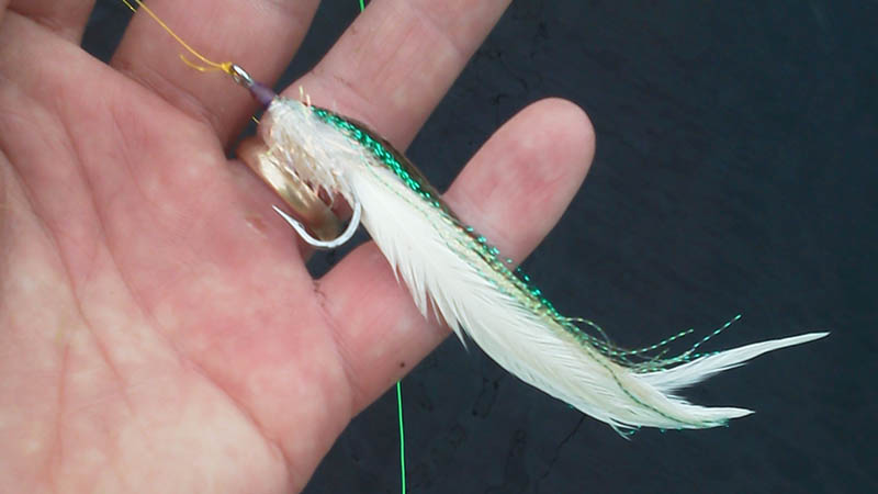 pike-fly-fishing-2