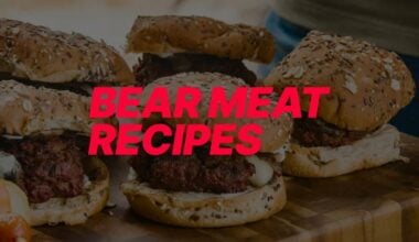 best bear meat recipes