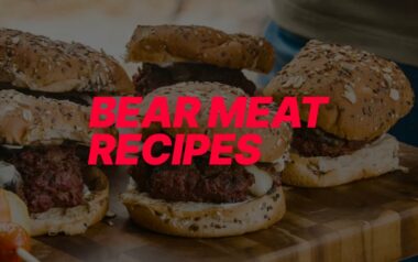best bear meat recipes