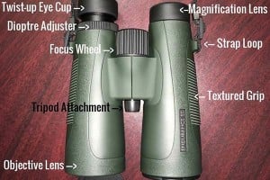binocular-anatomy-thumb