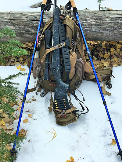 ALPS Mountaineering Trekking Poles: Your Hiking Allies