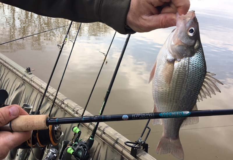 Take a Long Spin Around the Lake St.Croix Rods