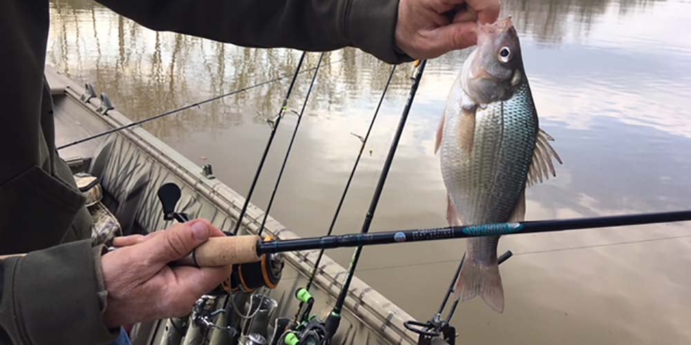 St. Croix Premier Spinning Rod: The Angler's Choice