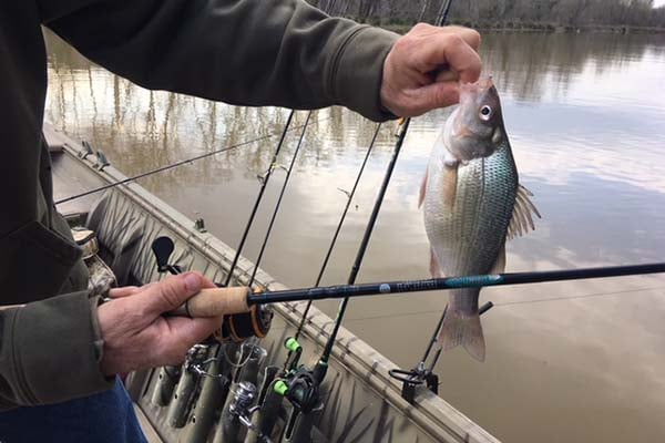 St. Croix Premier Spinning Rod: The Angler's Choice