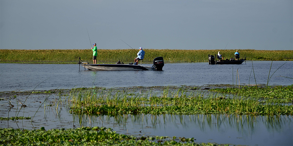 spinning-rods-reels-6