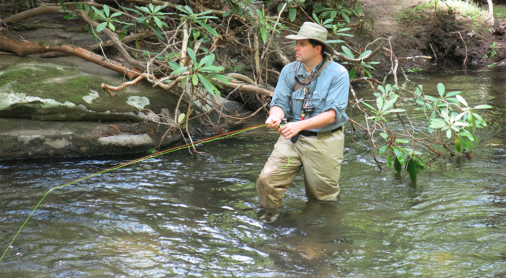 Angler's Guide: How to Select a Fly Reel