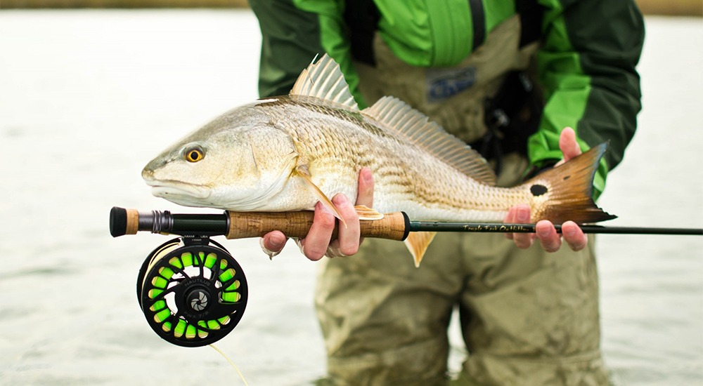 Guide to Choosing the Best Fly Reel: Automatic or Semi-Automatic Fly  Reel-xPeche-fishing tackle and bait online