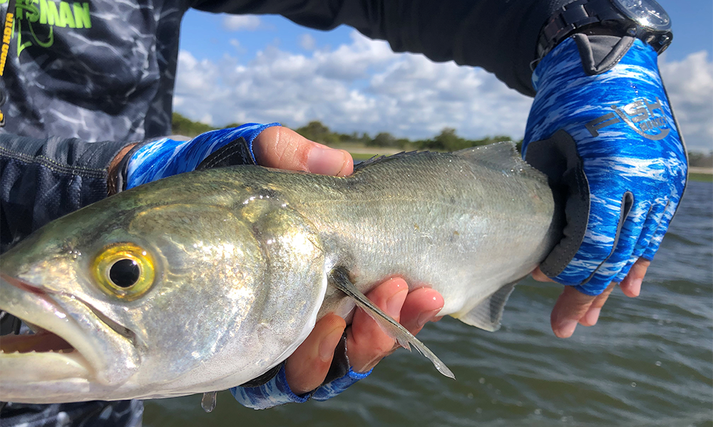 Fish Monkey New For 2019 – PRO 365 Guide Glove And More - The blog of the  gritroutdoors.com