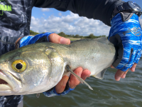 ﻿Fish Monkey New For 2019 – PRO 365 Guide Glove And More