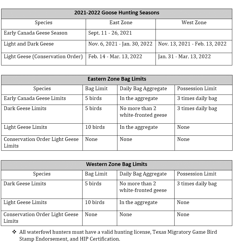 texas goose hunting seasons 2021-2022