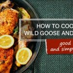 HOW TO COOK WILD GOOSE AND DUCK - GOOD TIPS AND SIMPLE RECIPES