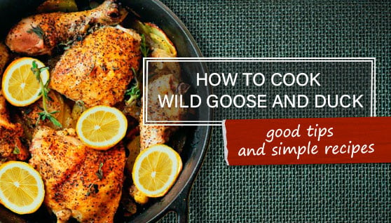 HOW TO COOK WILD GOOSE AND DUCK - GOOD TIPS AND SIMPLE RECIPES