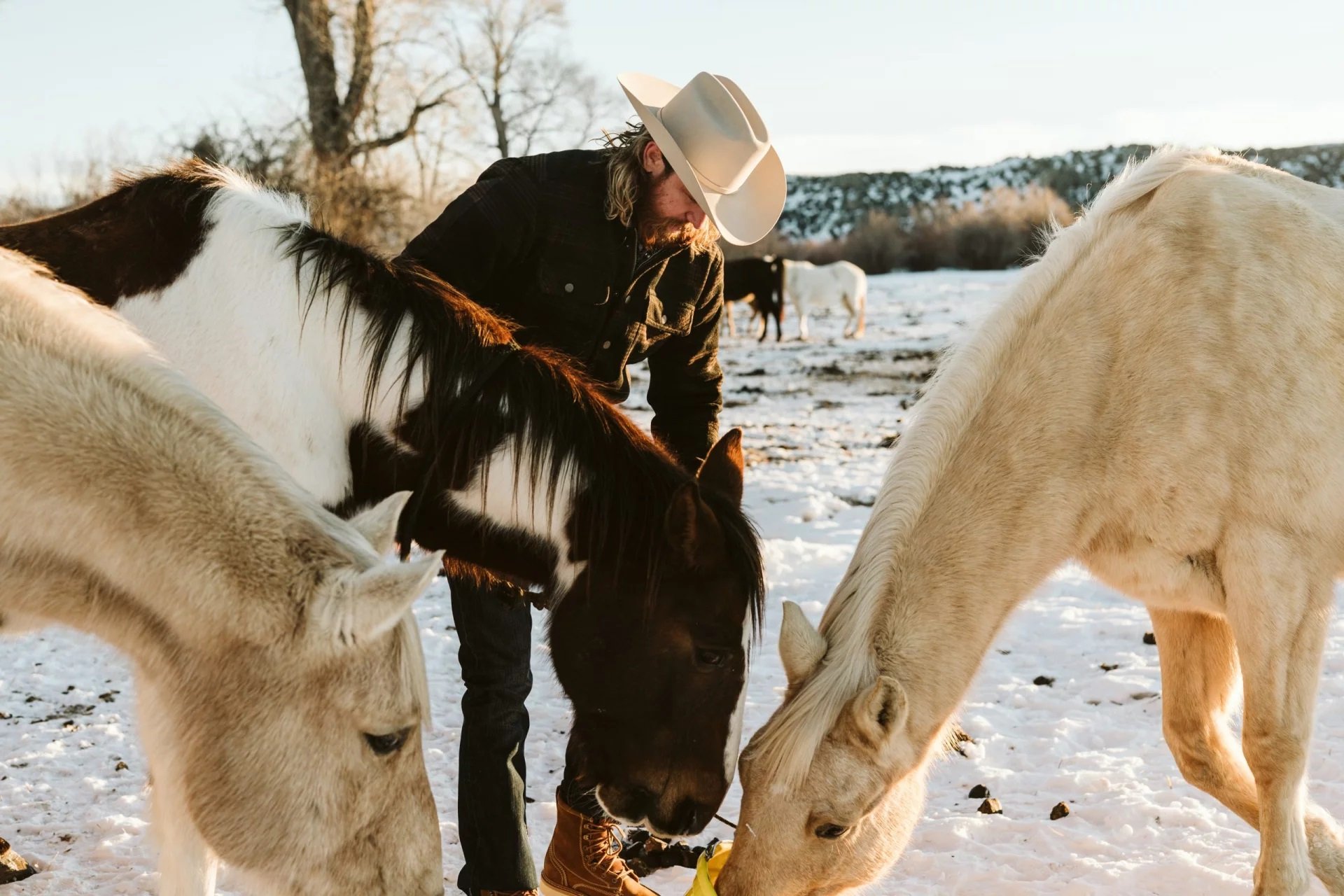 Stetson Hats: The Ideal Headwear for Outdoor Activities