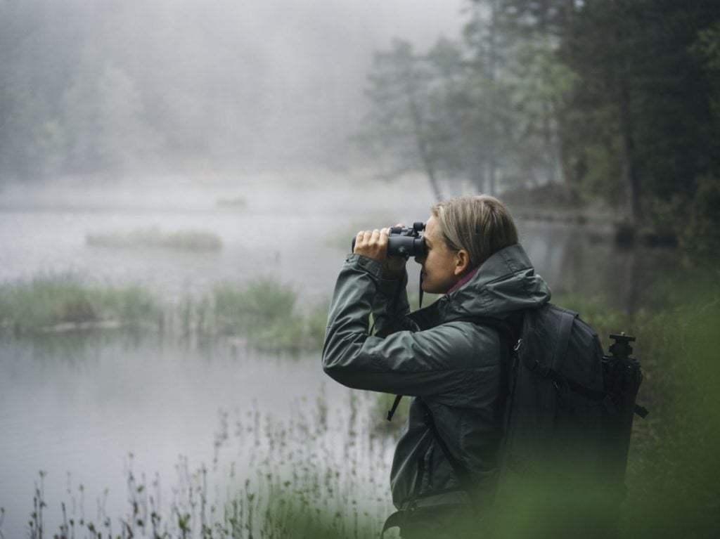 Best Binoculars for Any Purpose & Any Budget