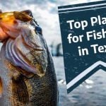 Top 7 Places for Fishing in Texas