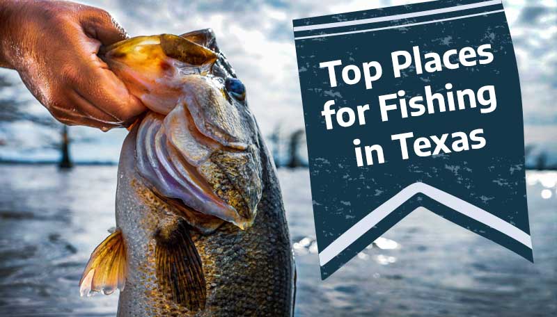 Seven Great Texas Fishing Destinations - Game & Fish