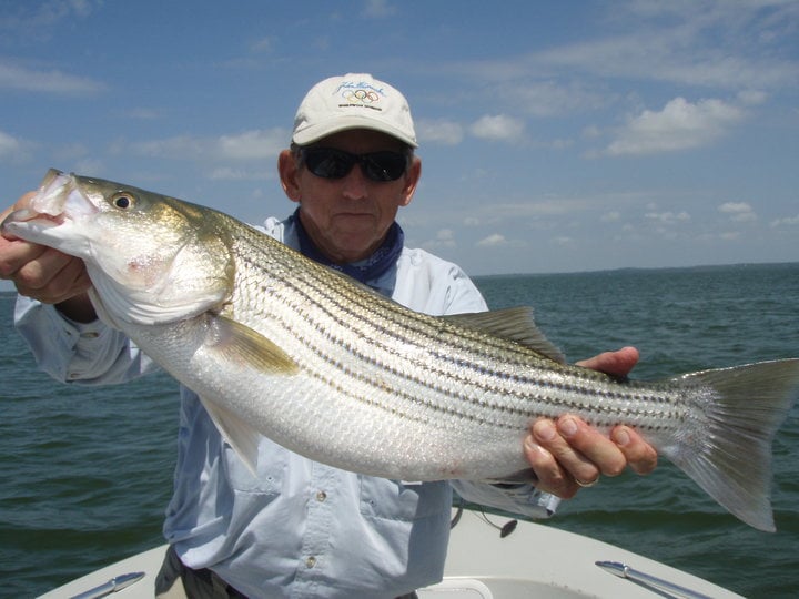 bass-fishing-in-texas