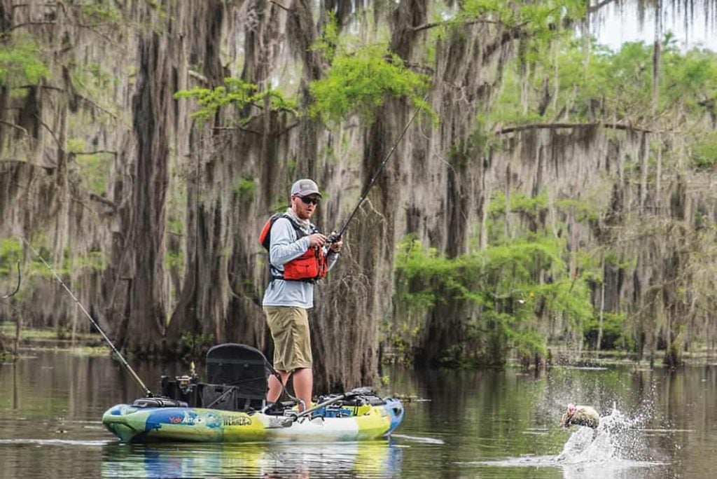 caddo-lake-texas-bass-fishing