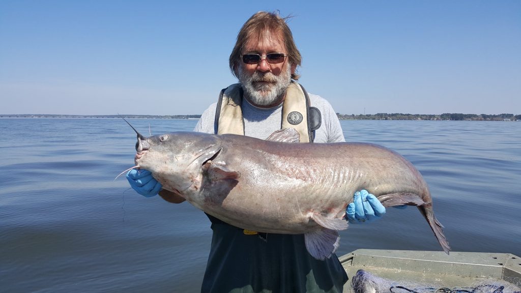 lake-conroe-texas-catfish-fishing