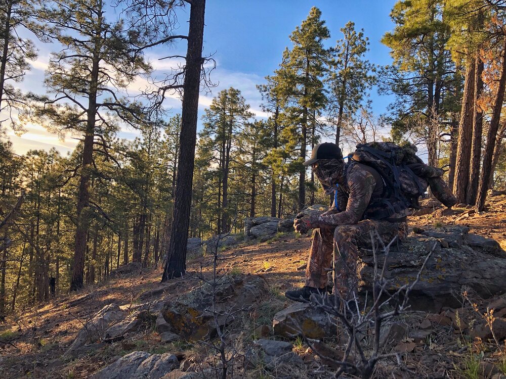 Arizona Hunting