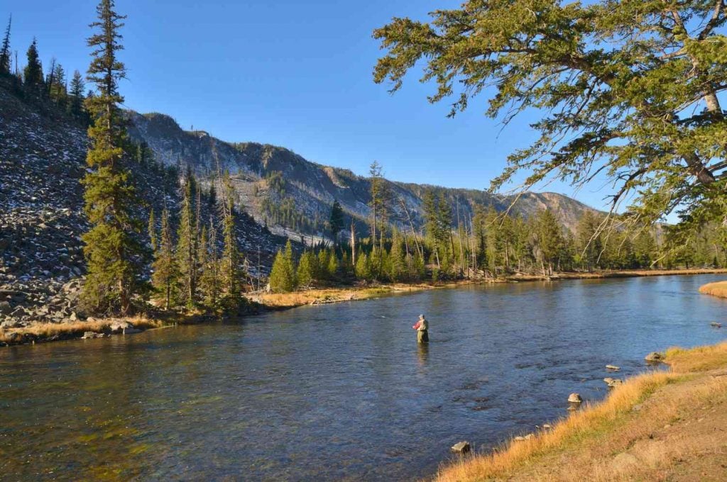 Fishing for Leisure