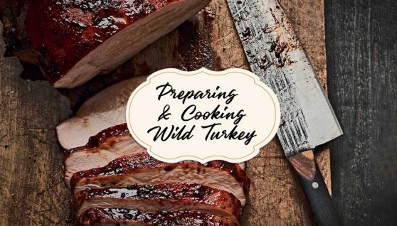 Wild Turkey Cooking Techniques and Tips