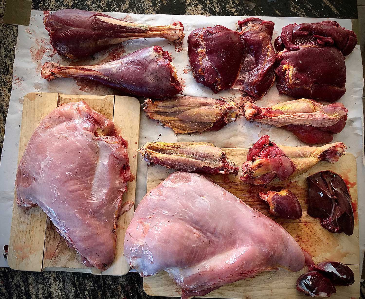Butchering Wild Turkey