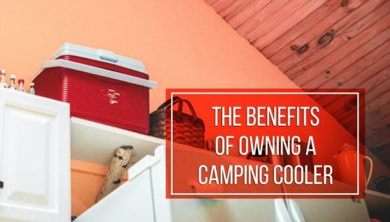 benefits of owning a camping cooler