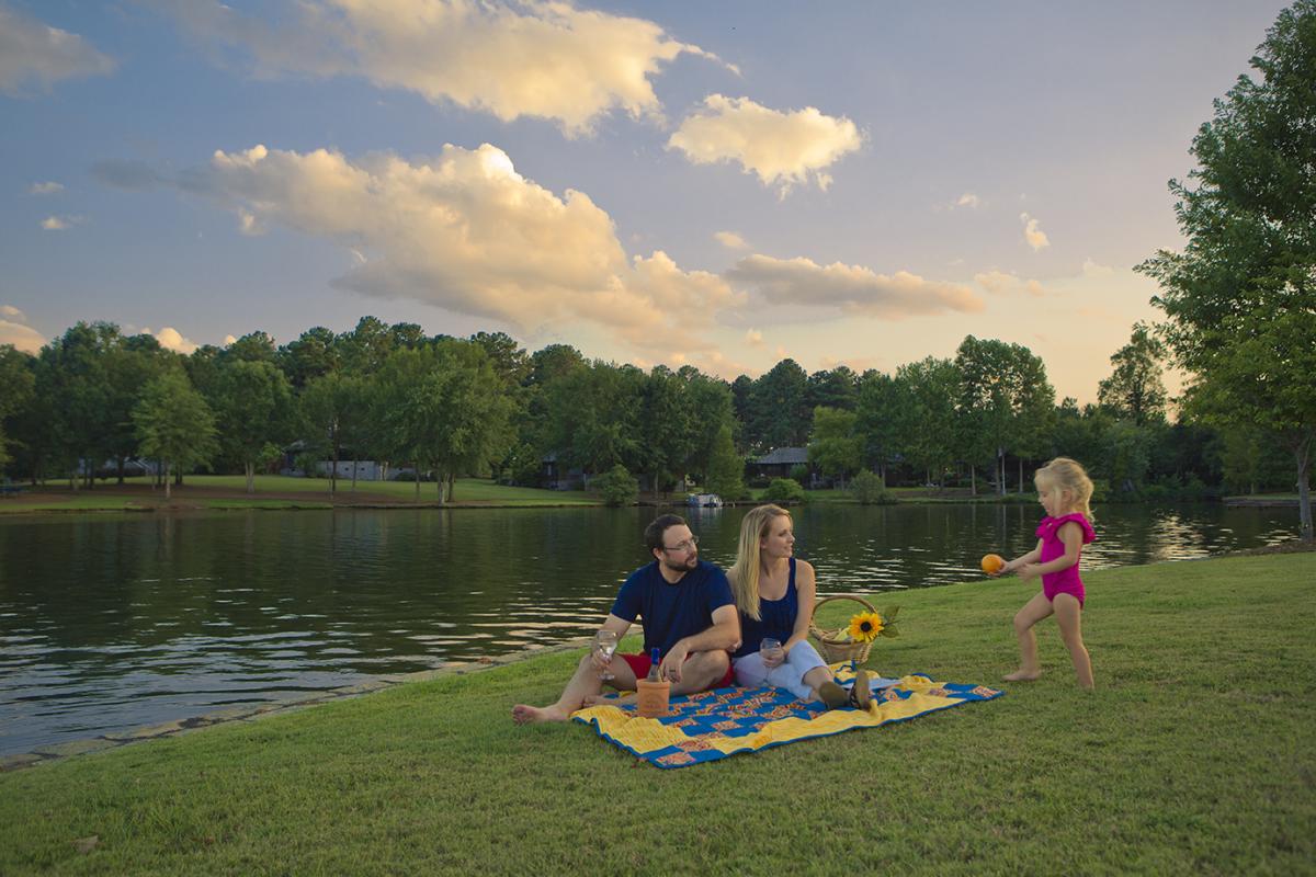 Family Picnic