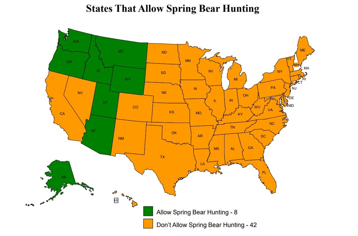states for spring bear hunting