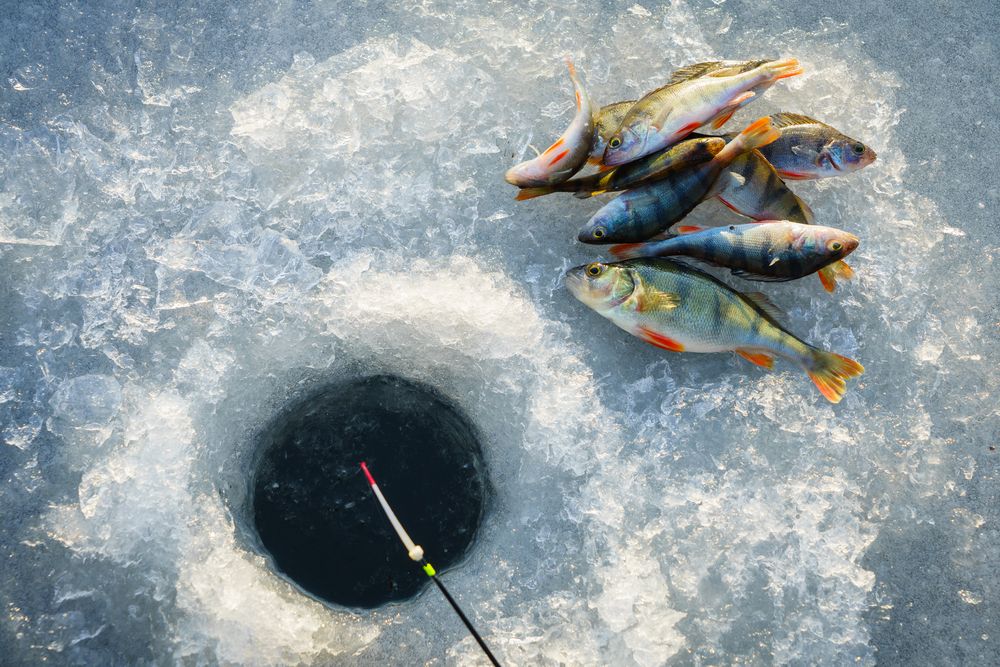 Ice Fishing Tip-up