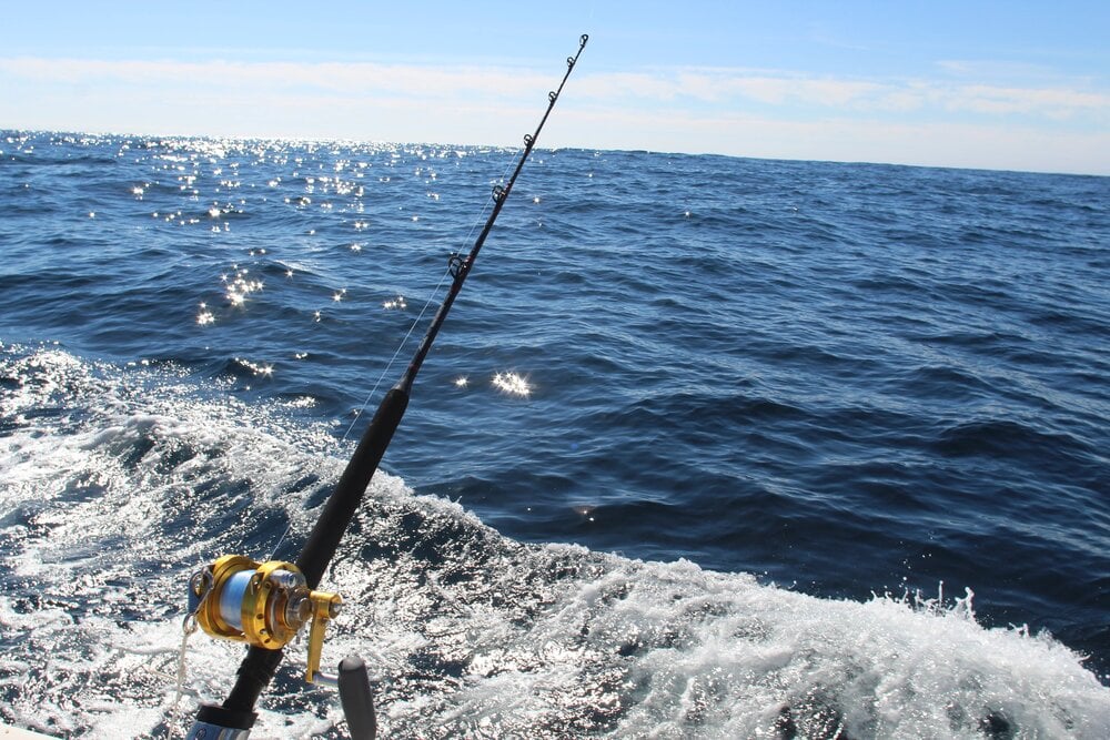 Deep Sea Fishing Rods: Your Ultimate Guide