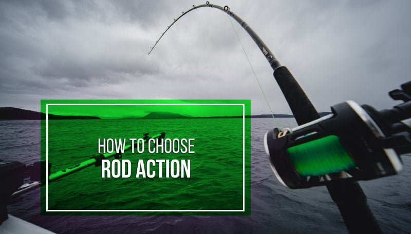 Types Of Fishing Rods & Poles Explained [Key Differences]