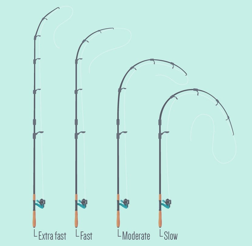 Fishing Rod Action Chart: Fast, Moderate & Slow Rods