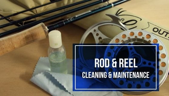 rod-and-reel-cleaning-and-maintainance