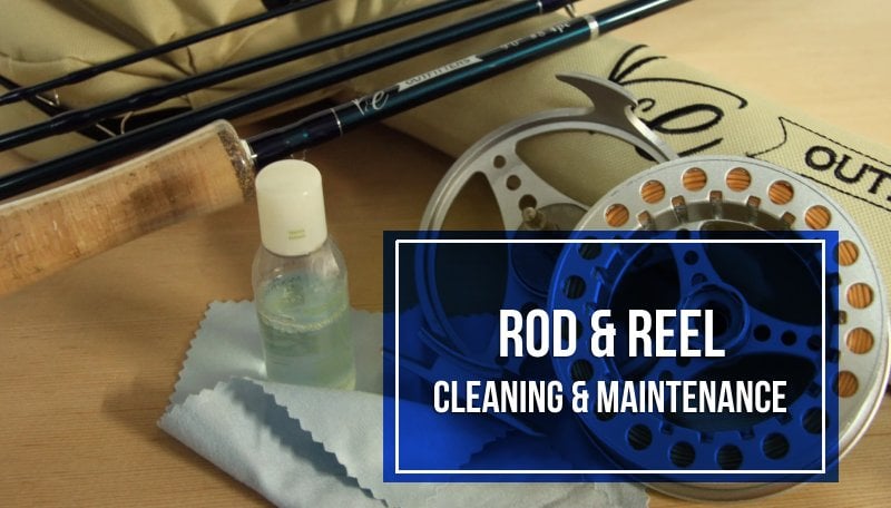 Keeping Saltwater Reels, Rods & Lures Clean