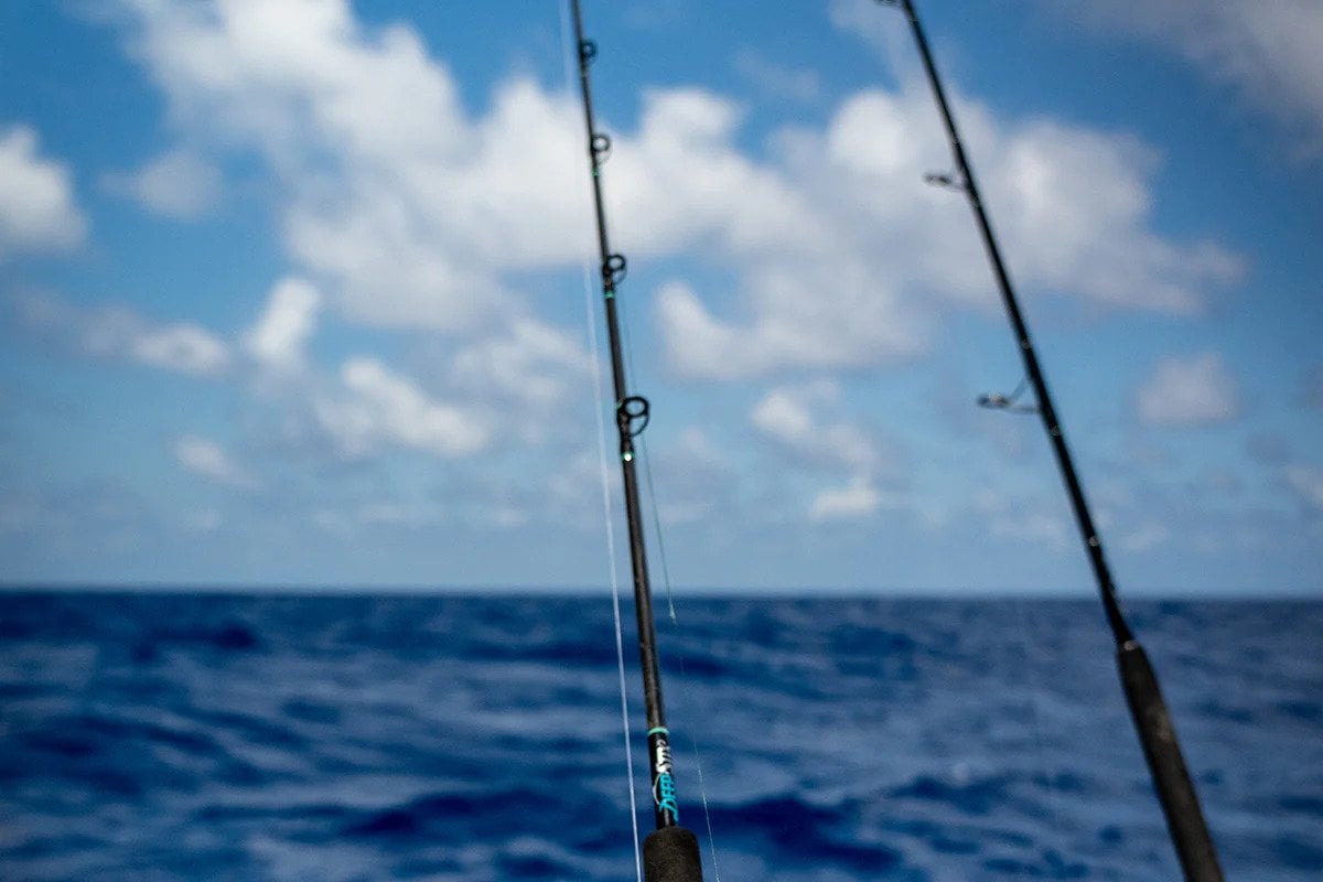 Sea deals fishing rod