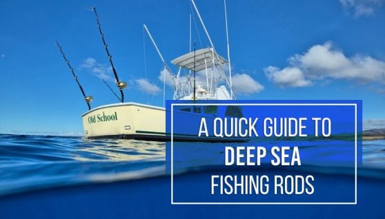 Deep Sea Fishing Rods