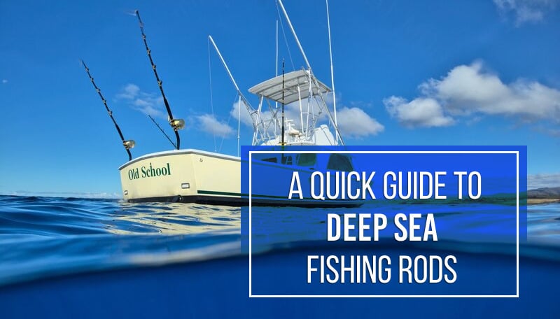 Deep Sea Fishing Rods: Your Ultimate Guide