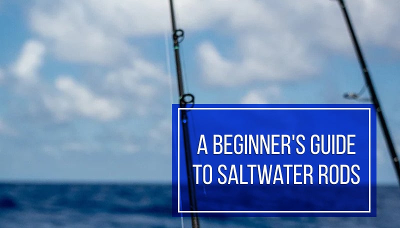Saltwater vs. Freshwater Fishing Rods: Differences, Maintenance Tips, And  When To Use Each One 