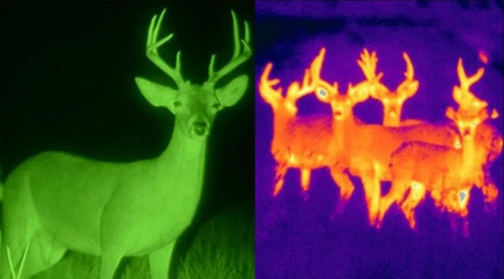 Thermal vs Night Vision