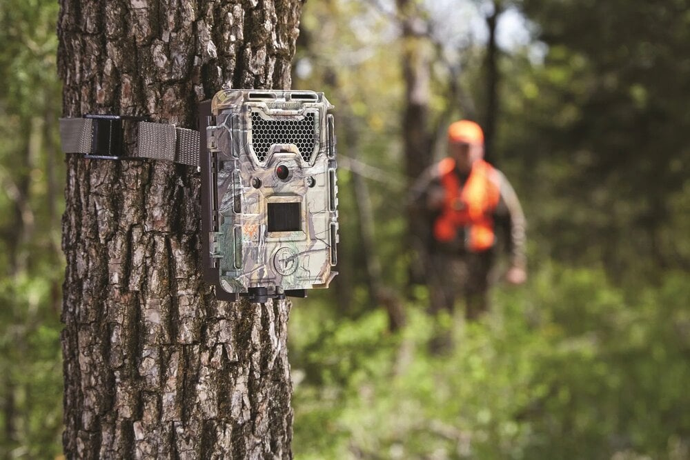 Trail Cameras