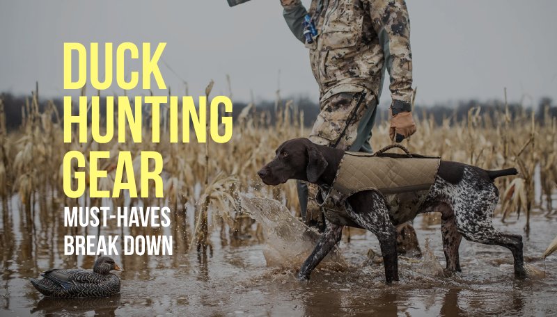 Dog duck hunting clearance gear