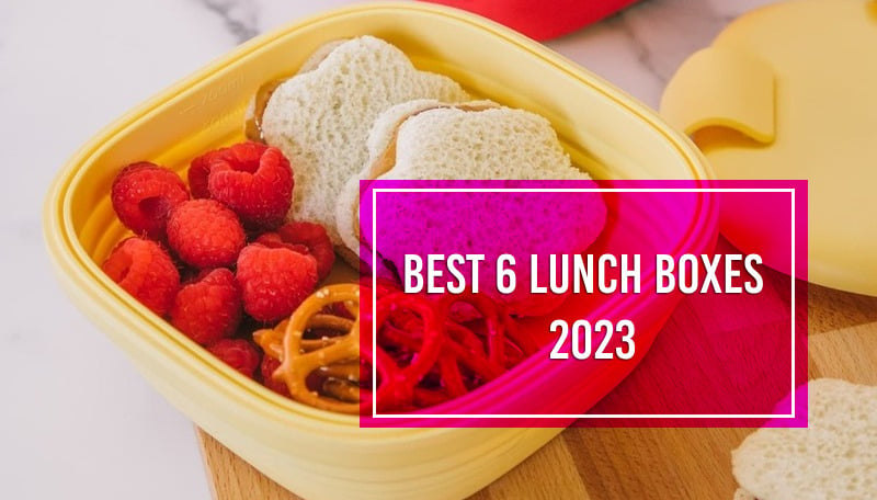 The 6 Best Bento Boxes of 2023