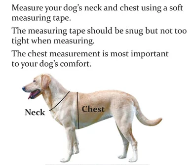 how-to-measure-dog-for-vest