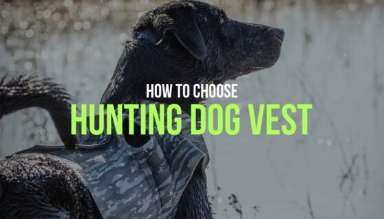hunting-dog-vest-guide