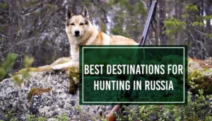 hunting in russia
